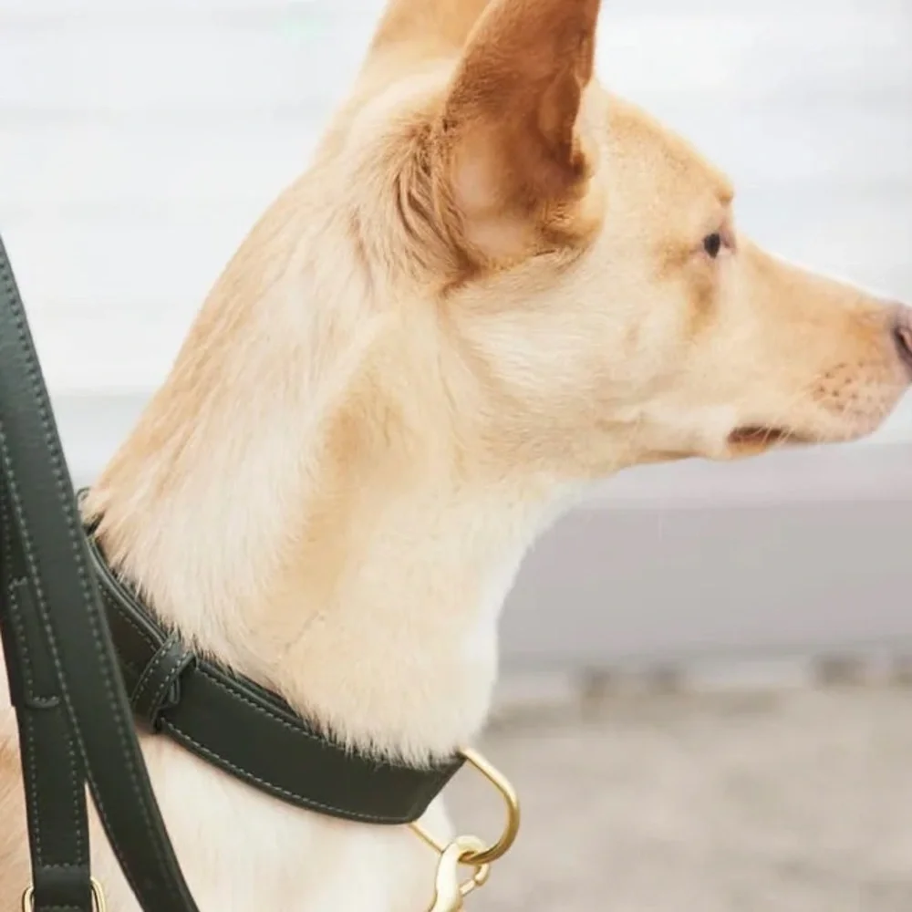 WILLIAM WALKER COLLAR LEATHER